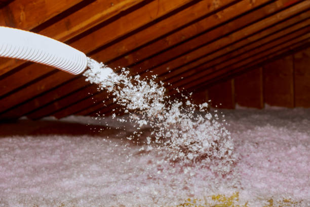 Best Garage Insulation Installation  in Dorneyville, PA