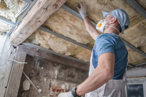 Best Insulation Contractors for Homes  in Dorneyville, PA