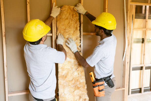 Best Insulation Replacement Services  in Dorneyville, PA