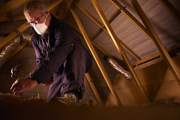 Trusted Dorneyville, PA Insulation Contractor Experts